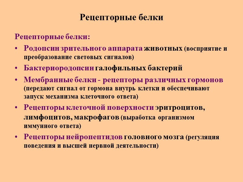 Рецепторные белки Рецепторные белки: Родопсин зрительного аппарата животных (восприятие и преобразование световых сигналов) Бактериородопсин